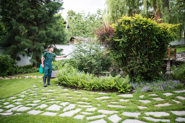 Best Local Pest Control Services  in Oskaloosa, KS