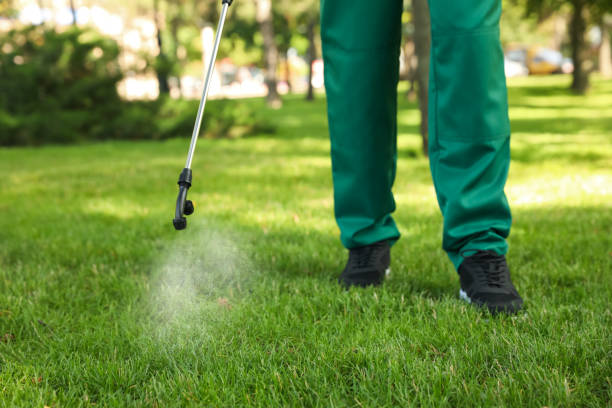 Best Termite Control Services  in Oskaloosa, KS
