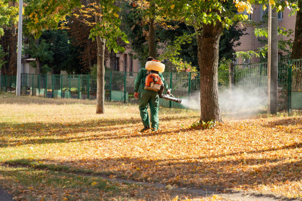 Best Residential Pest Control  in Oskaloosa, KS