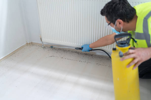 Best Best Pest Control Companies  in Oskaloosa, KS
